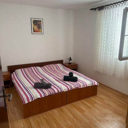 Apartmani Marko Novalja Eksteriør billede